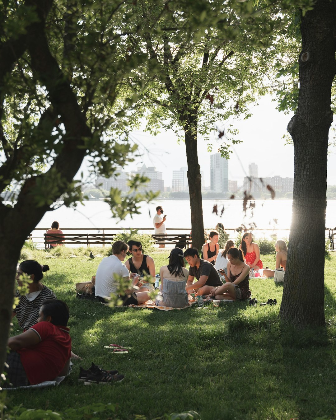 Photo by Mason Dahl people sitting on green grass field near green trees during daytime
