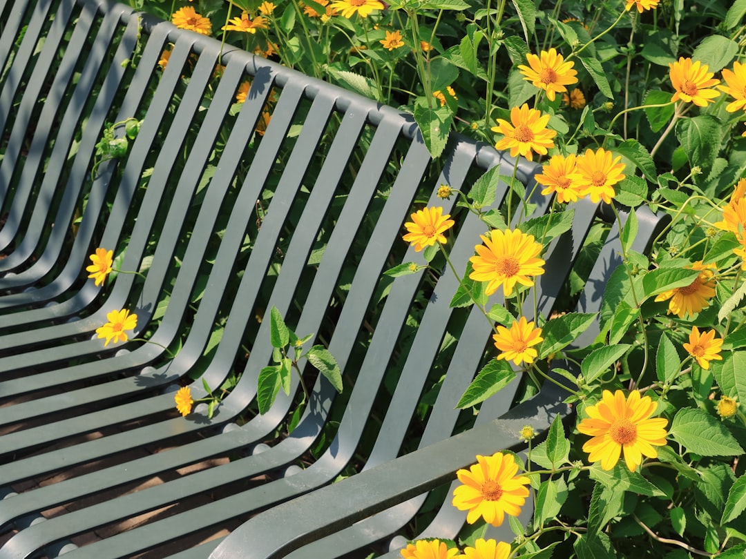 Photo by Ann yellow flowers on green steel bench
