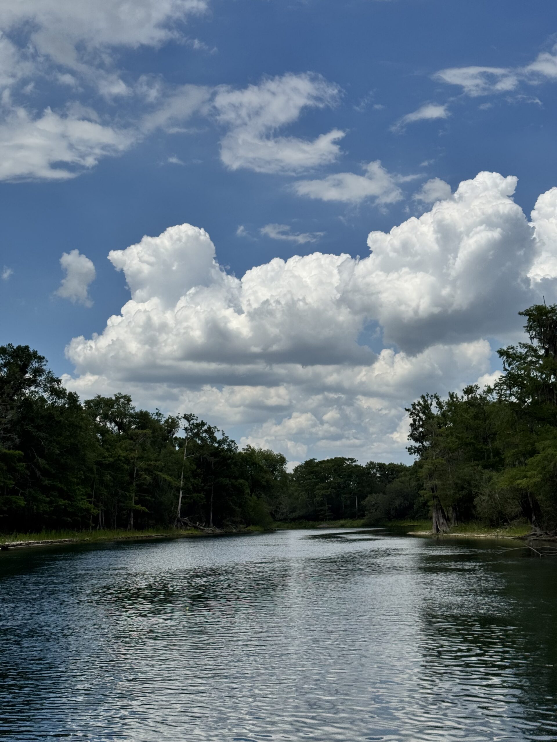 river photo 1