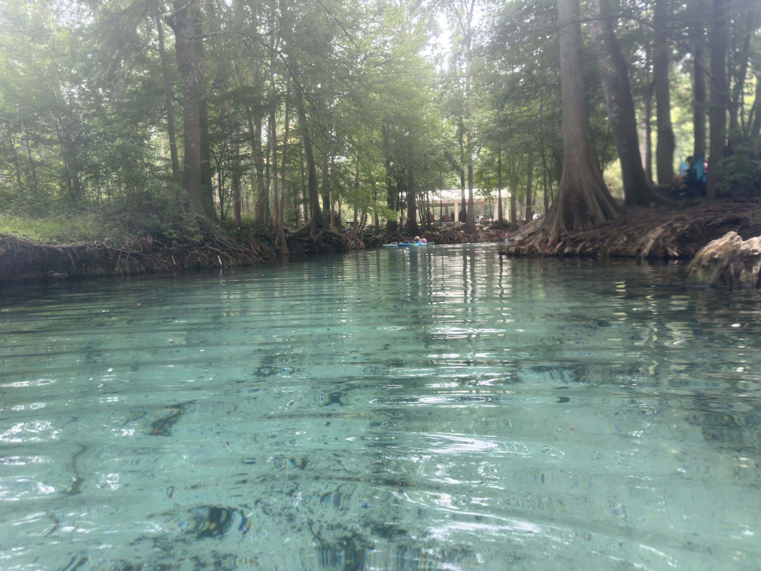 rockbluf springs 1