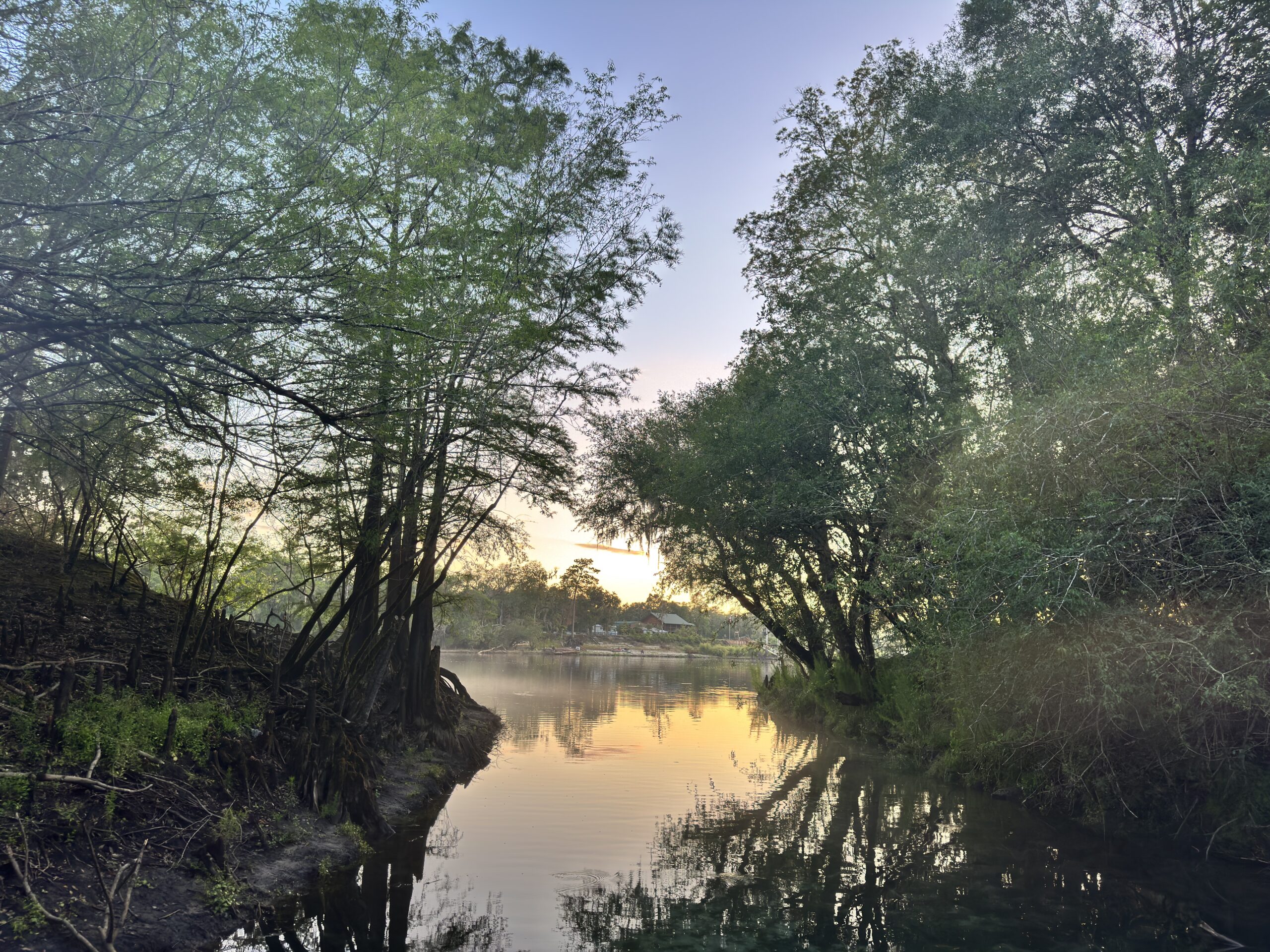 rockbluff springs 2
