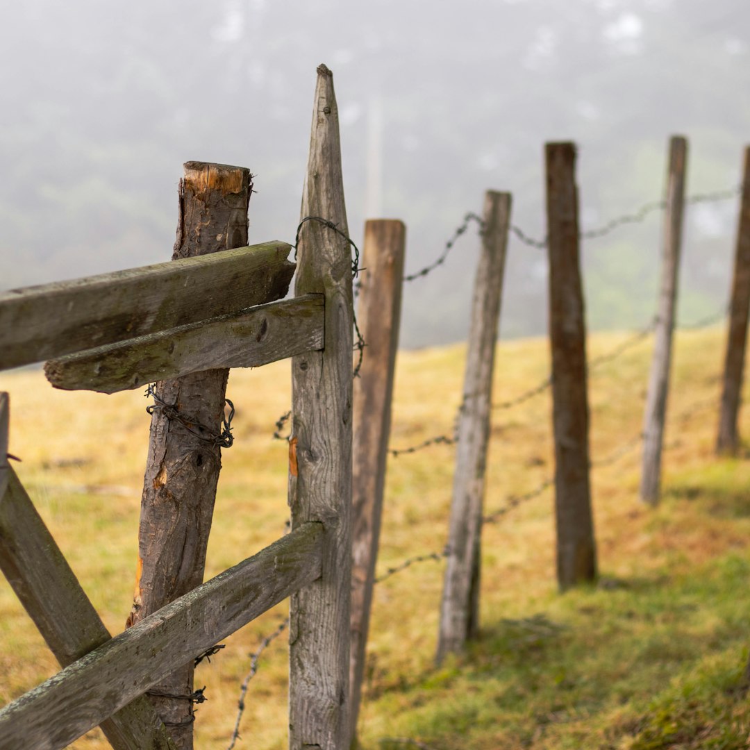 Photo by DDP photo of brown wooden fence on grass field