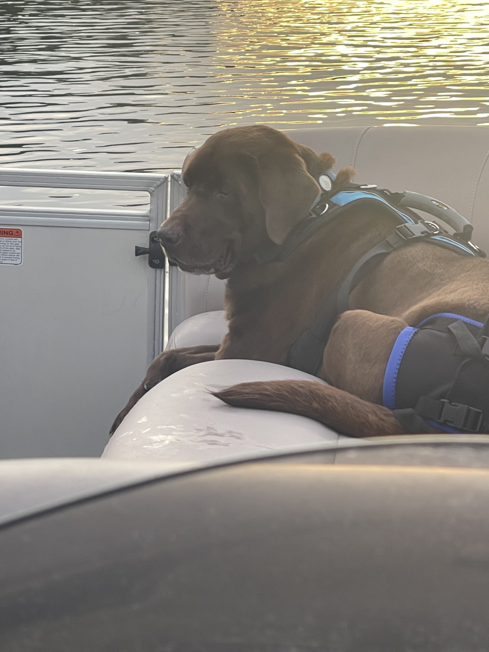 Peppers on the boat